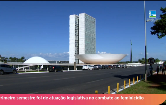 Primeiro semestre foi de atuação legislativa no combate ao feminicídio