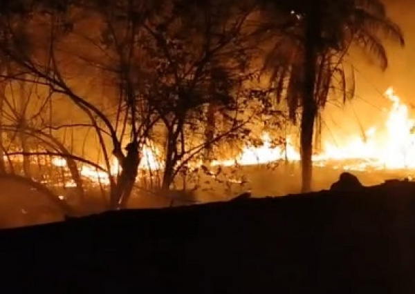 Barra do Lance em chamas e gado é retirado para no ser atingido pelo fogo