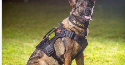 SSP-PI realiza cortejo fúnebre em homenagem à K9 Catrina nesta quarta-feira (30)