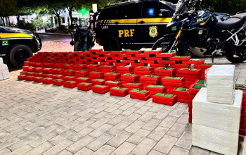 PRF apreende quase MEIA TONELADA de PASTA BASE DE COCAÍNA escondida em fundo falso de carreta no Sul do Piauí