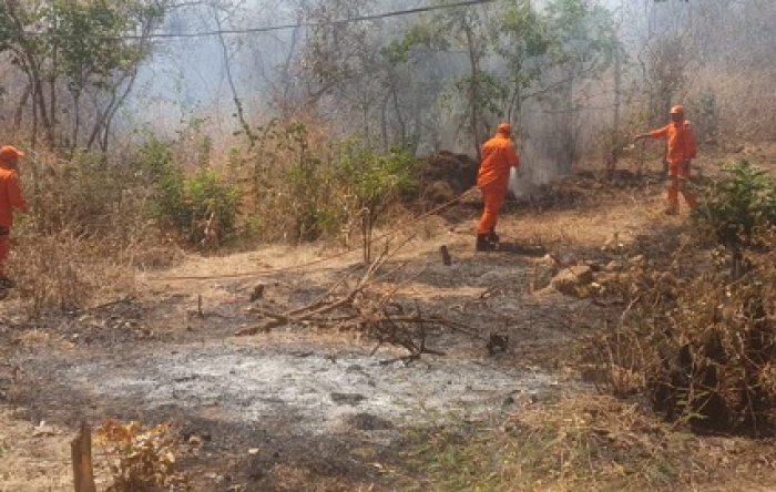 Corpo de Bombeiros combate incêndio em vegetação em Valença do Piauí