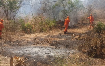 Corpo de Bombeiros combate incêndio em vegetação em Valença do Piauí
