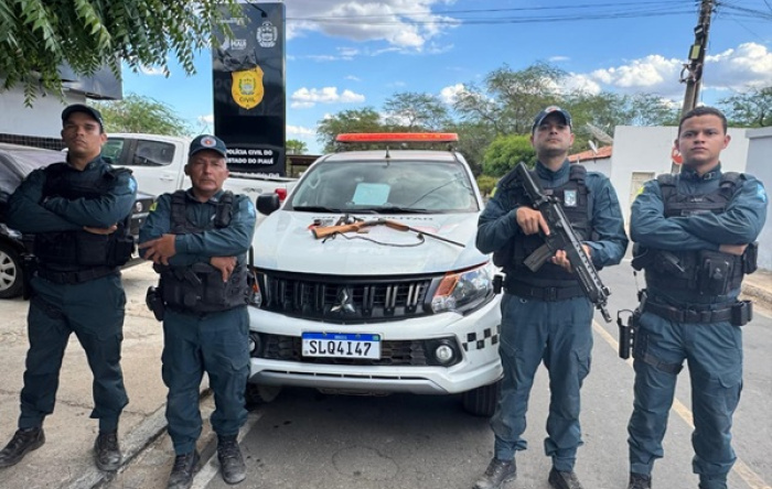 PM-PI apreende armas e munições durante ação na zona rural de Pio IX