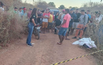 Mulher morre ao bater de moto em um porco em Bonfim do Piauí