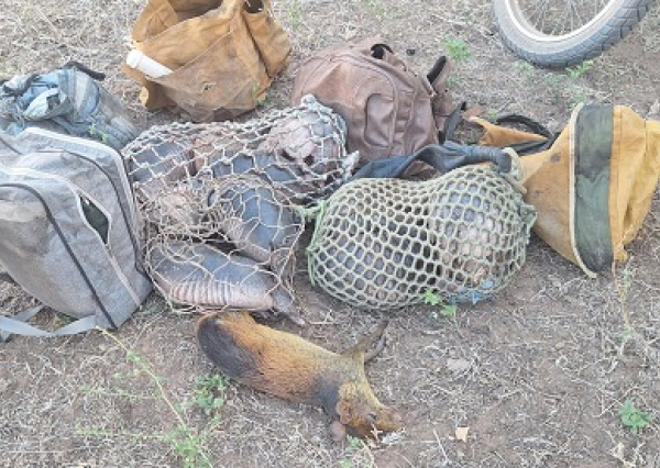 Polícia Militar prende caçadores, apreende armas e animais silvestres na zona rural de Aroazes