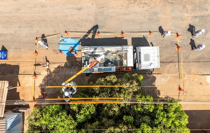 Saiba o que fazer durante ventos fortes e árvores próximas à rede elétrica