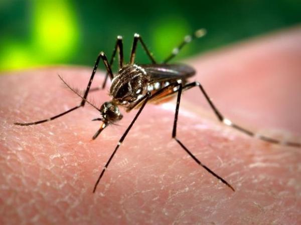 planos de saude terao cobertura obrigatoria de testes de zika 365584