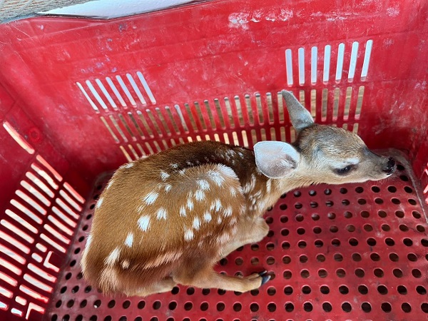 Imagem do WhatsApp de 2025 12 04 às 14.11.20 68adb618