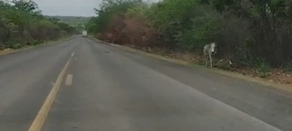 Imagem do WhatsApp de 2025 12 08 às 03.02.46 59ac980a