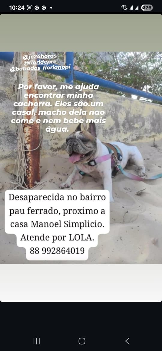 Imagem do WhatsApp de 2025 07 13 às 11.05.11 1084b4db