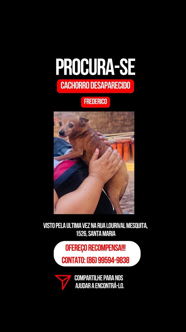 Imagem do WhatsApp de 2025 06 17 às 13.04.02 d11ed0d8