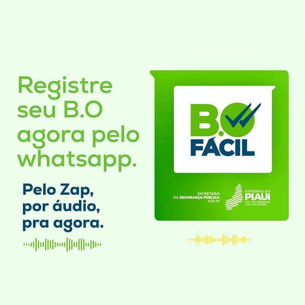 Imagem do WhatsApp de 2025 06 27 às 11.30.12 7000d698