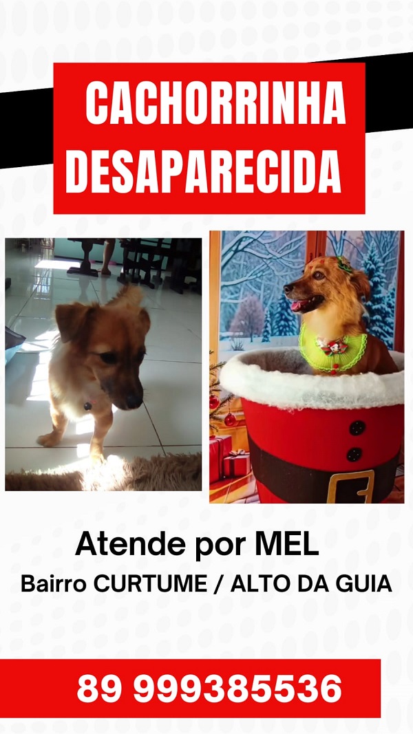 Imagem do WhatsApp de 2025 05 08 às 12.26.19 0808c294