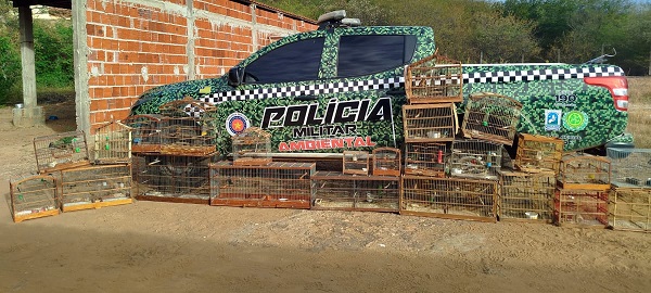 Imagem do WhatsApp de 2025 05 20 às 11.37.45 0d563729