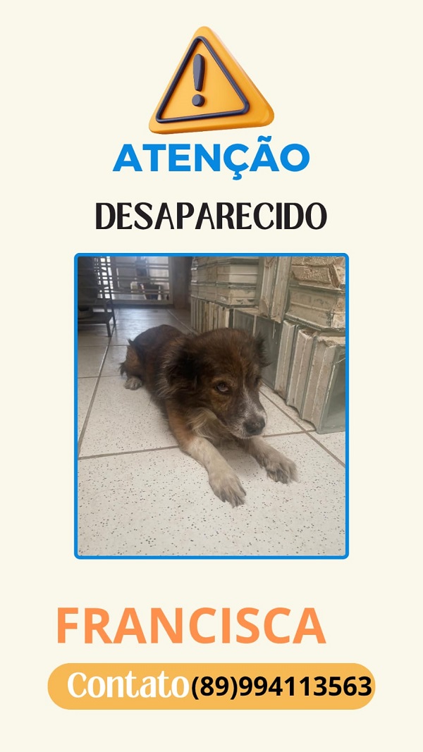 Imagem do WhatsApp de 2025 05 22 às 08.28.41 05283eef