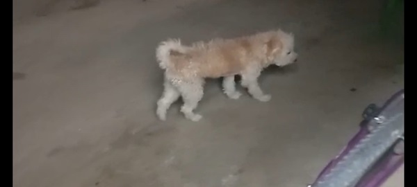 WhatsApp Image 2025 11 27 at 21.55.55