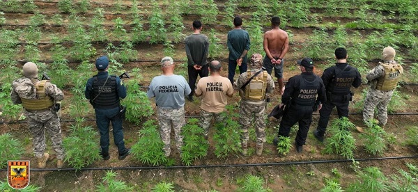 WhatsApp Image 2026 04 02 at 20.22.58