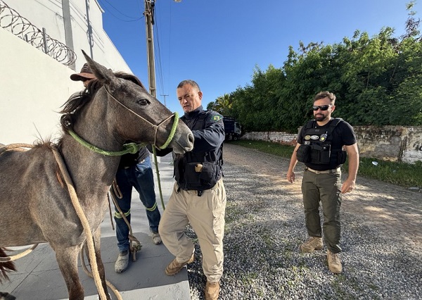 WhatsApp Image 2026 02 02 at 11.25.46