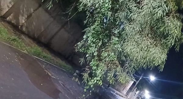 WhatsApp Image 2026 02 11 at 02.20.36