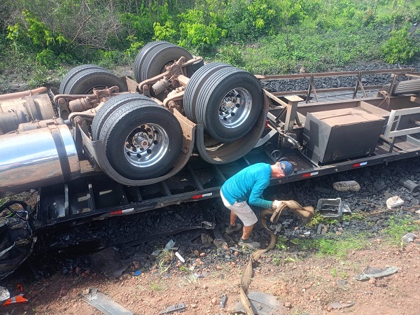 WhatsApp Image 2026 02 17 at 17.50.18 1