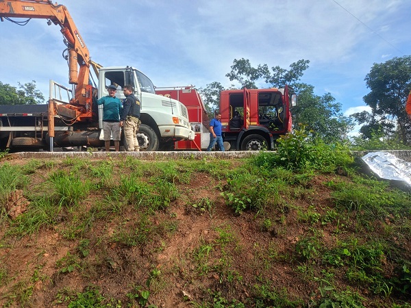 WhatsApp Image 2026 02 17 at 17.50.19 1