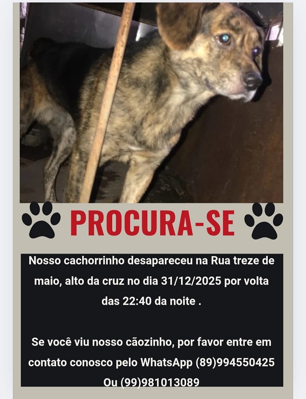 Imagem do WhatsApp de 2026 01 03 às 09.46.29 d208a473