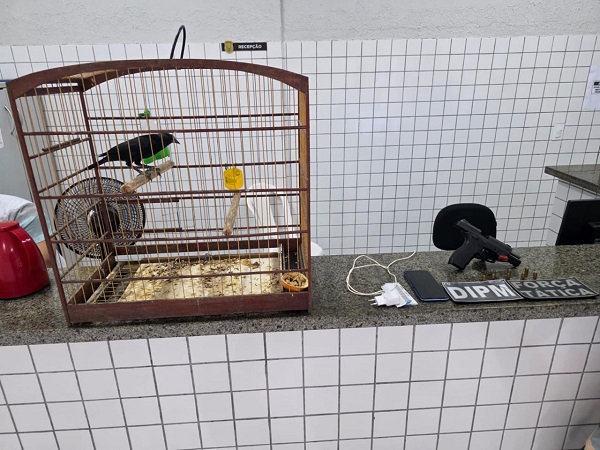 Imagem do WhatsApp de 2026 01 04 às 17.25.58 b7540bfd