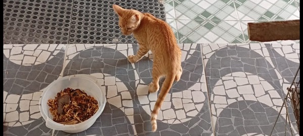 WhatsApp Image 2026 01 14 at 04.42.34