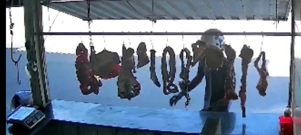 WhatsApp Image 2026 01 27 at 16.53.19