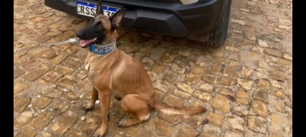 WhatsApp Image 2026 01 30 at 13.04.55