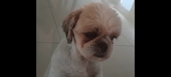 WhatsApp Image 2026 03 07 at 01.46.40