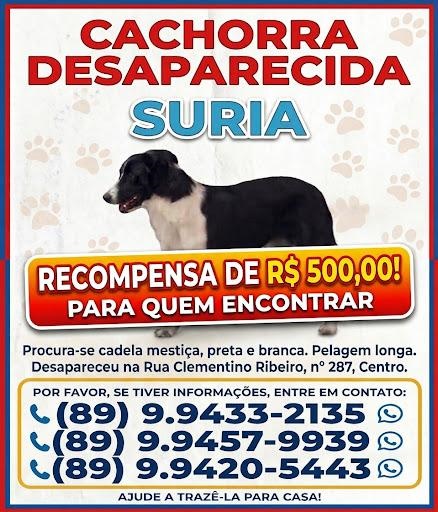 WhatsApp Image 2026 09 04 at 11.40.10